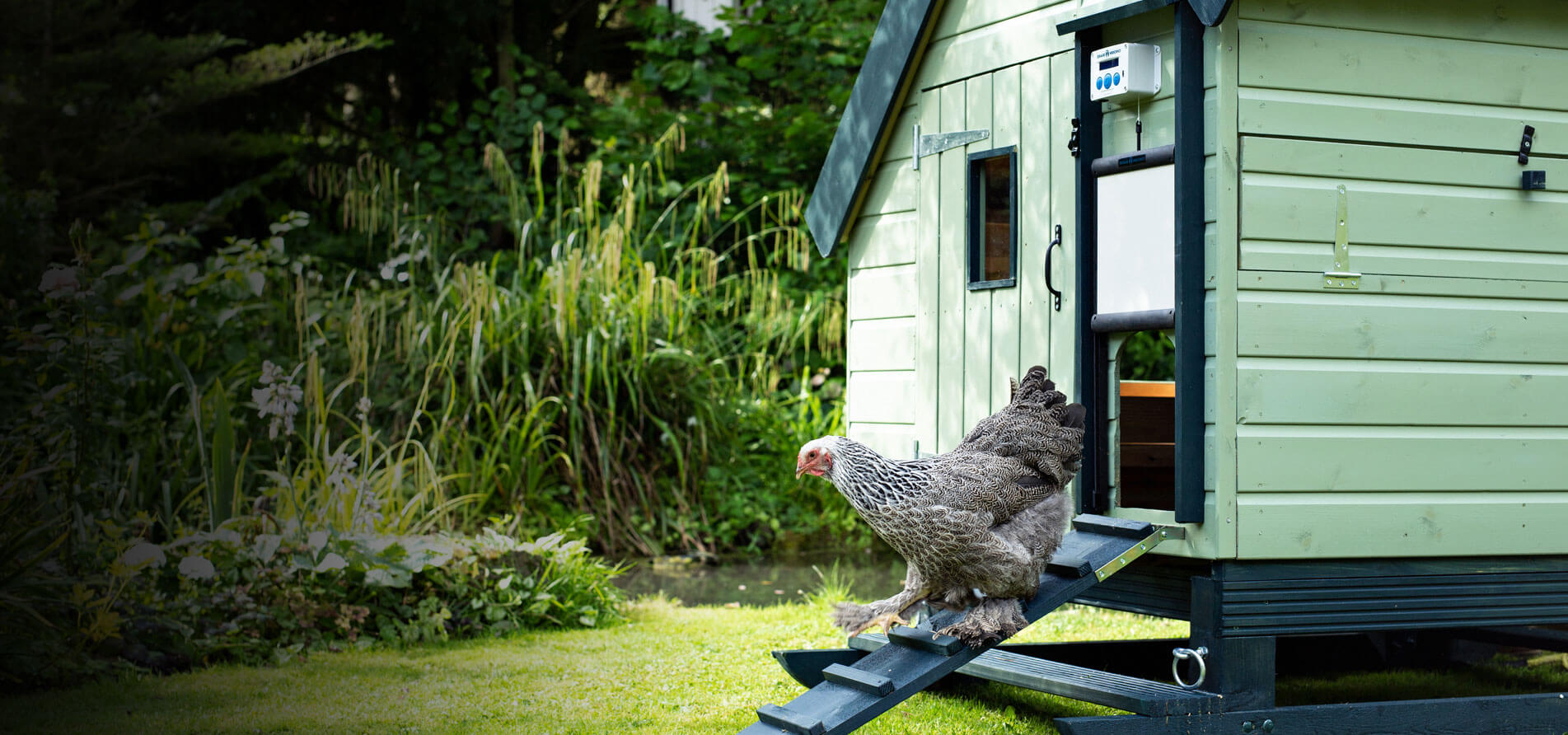 ChickenGuard The Worlds Best Automatic Chicken Door Opener